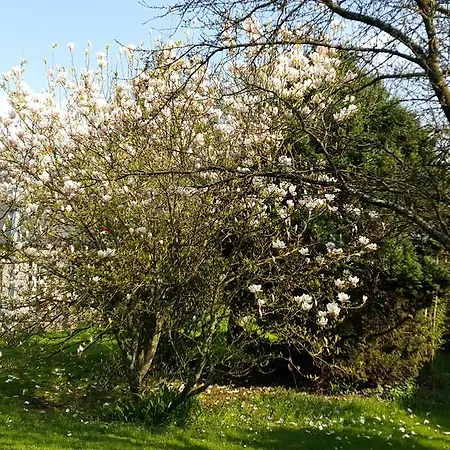 Les Cles D'auriane Pensionat Grumesnil